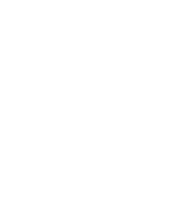 Animal Hide inventory icon