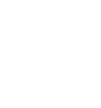 Bone inventory icon