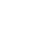Grappling Hook inventory icon