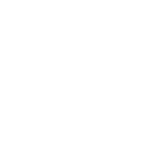 Rope inventory icon