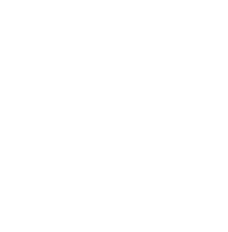 Stick inventory icon