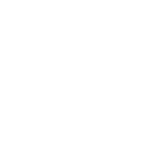 Torch inventory icon