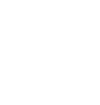 Vines inventory icon