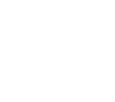 Wood Plank inventory icon